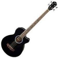 Basses acoustiques / électro-acoustiques