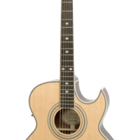 Epiphone Guitare acoustique-électrique Performer PR-5E (fini naturel)