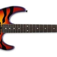 George Lynch Signature - Sunburst Tiger