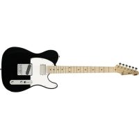 Ron Wood Signature Series Electric Guitar (Black)