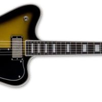 Sparrowhawk Bill Kelliher Electric Guitar, Vintage Silver Sunburst