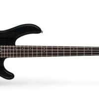 Action PJ Series Electric Bass, Open Pore Black