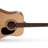 Standard Series Spruce Top Acoustic Guitar, Open Pore