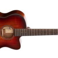 Core Series Blackwood Acoustic Guitar With Case, Open Pore Light Burst