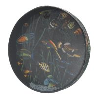 Ocean Drum - 2.5 X 16 Inch, Fish Graphic