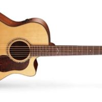 Gold Series Grand Auditorium Guitar With Case, Natural