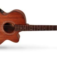 Open Pore Acoustic Guitar