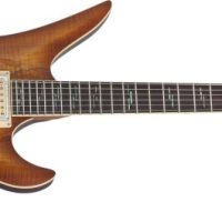 Avenger Exotic Electric Guitar, Spalted Maple