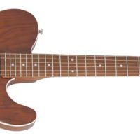 PT Van Nuys Electric Guitar, Gloss Natural Ash