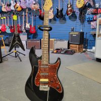 Sire Larry Carlton S3